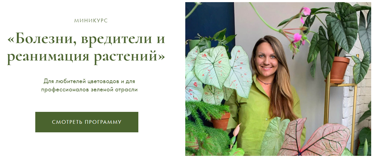 [Ксения Занина] Болезни, вредители и реанимация ра_0.png